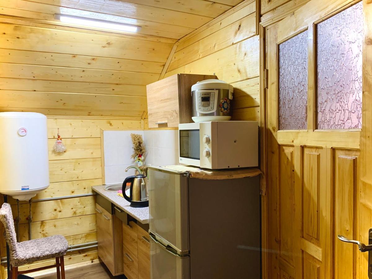 Appartement За Горбами à Yaremtche Extérieur photo